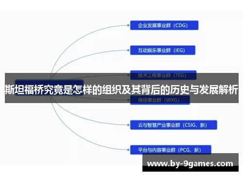 斯坦福桥究竟是怎样的组织及其背后的历史与发展解析 斯坦福桥究竟是怎样的组织及其背后的历史与发展解析